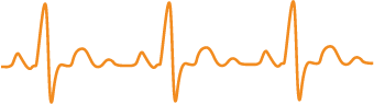 heart normal